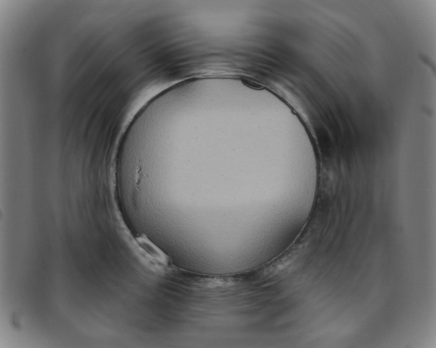 X0000097511195200803071817