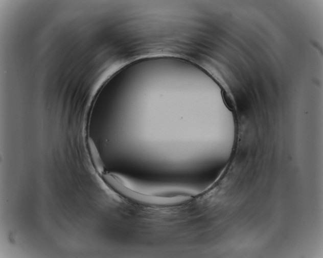 X0000097511197200803071817