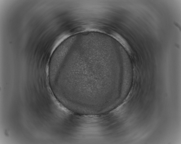 X0000097511198200803071817