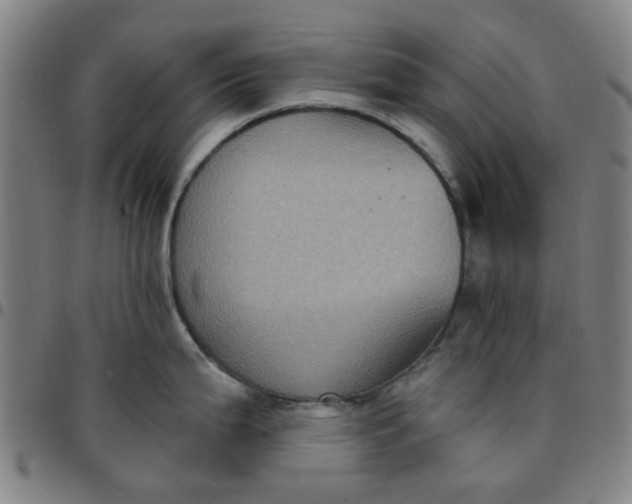 X0000097511199200803071817