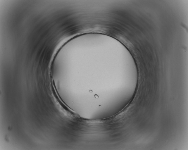 X0000097511200200803071817