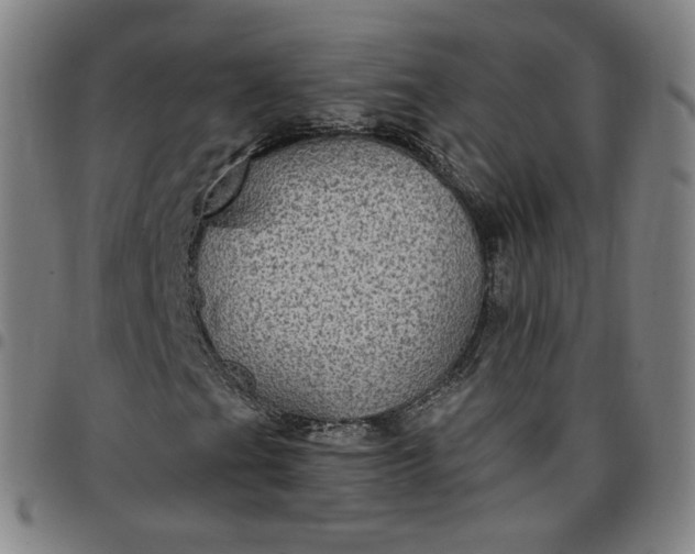 X0000097511201200803071817