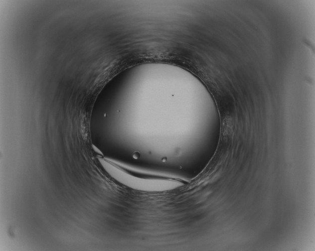 X0000097511202200803071817