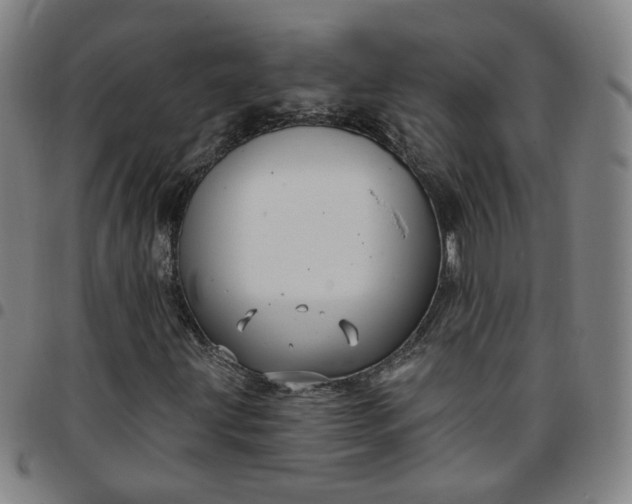 X0000097511203200803071817