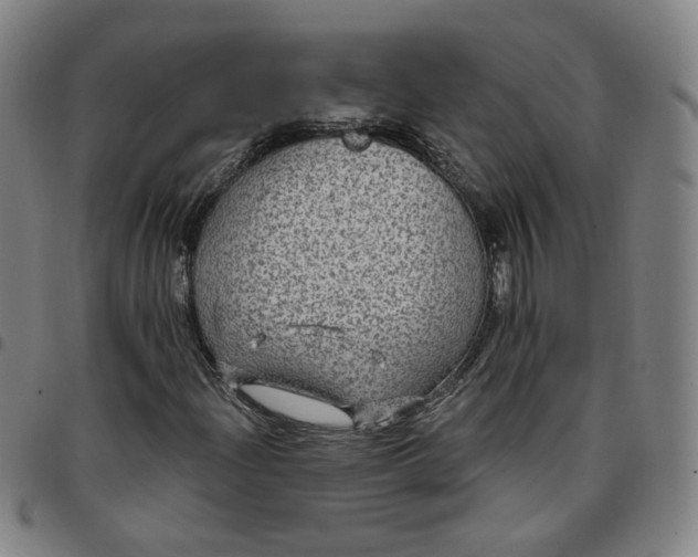 X0000097511204200803071817