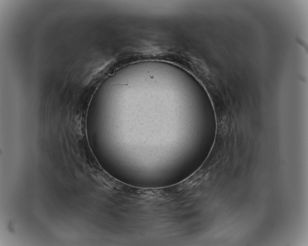 X0000097511205200803071817