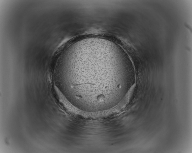 X0000097511206200803071817