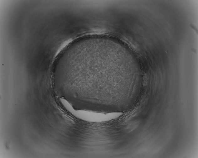 X0000097511208200803071817