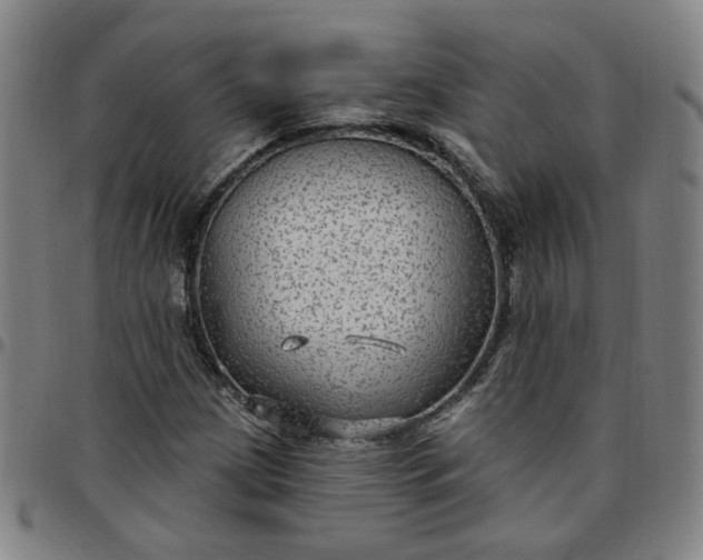 X0000097511209200803071817