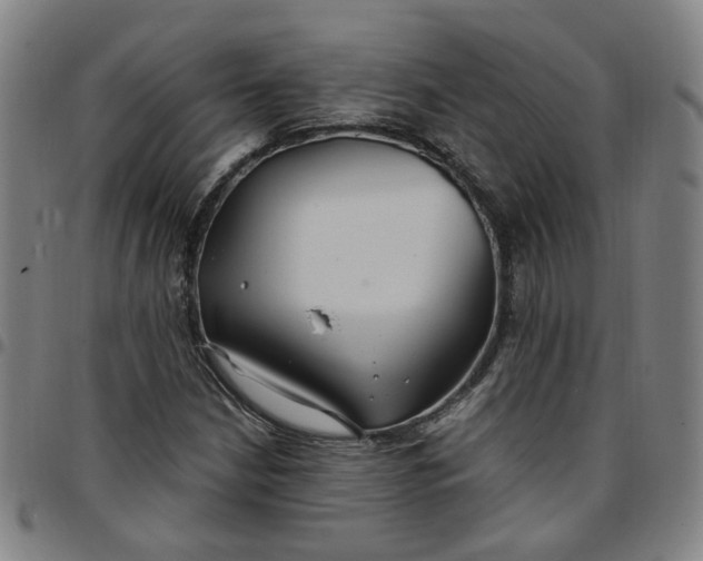 X0000097511210200803071817