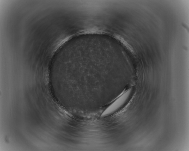 X0000097511213200803071817