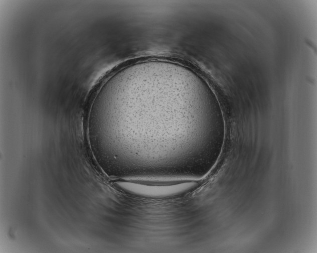 X0000097511214200803071817