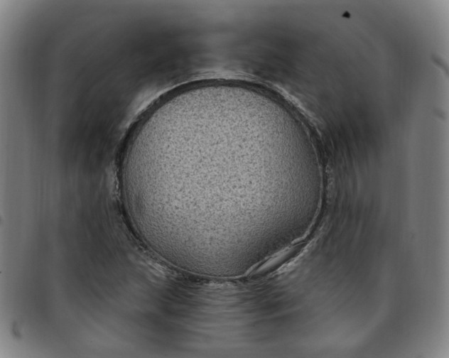 X0000097511215200803071817