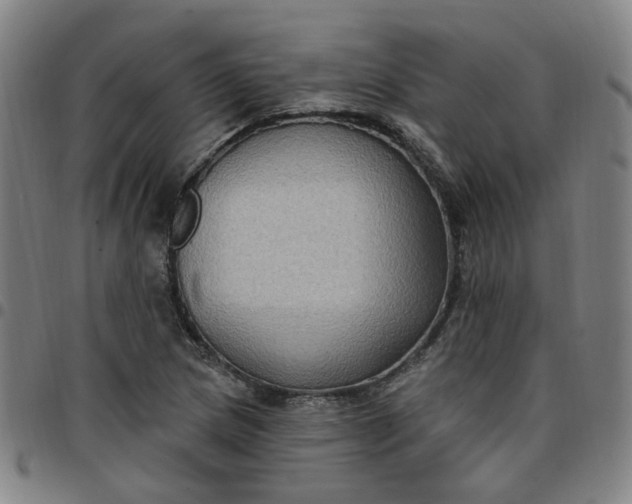 X0000097511217200803071817