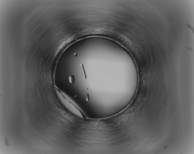 X0000097511218200803071817