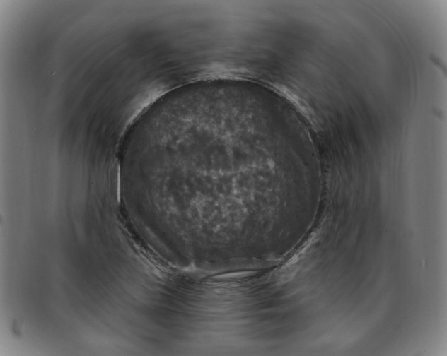 X0000097511219200803071817