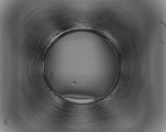 X0000097511220200803071817