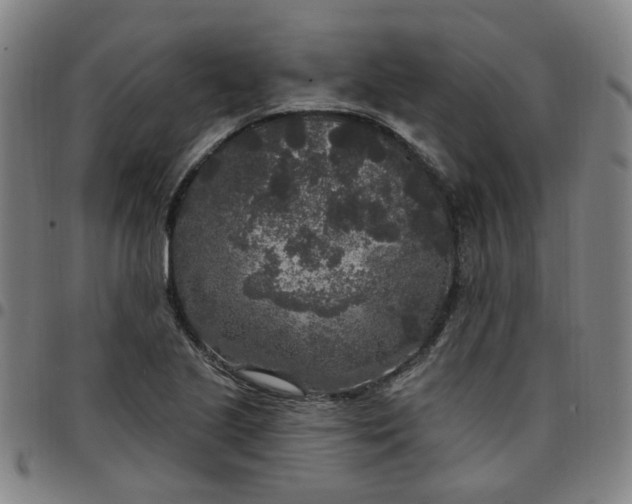 X0000097511221200803071817