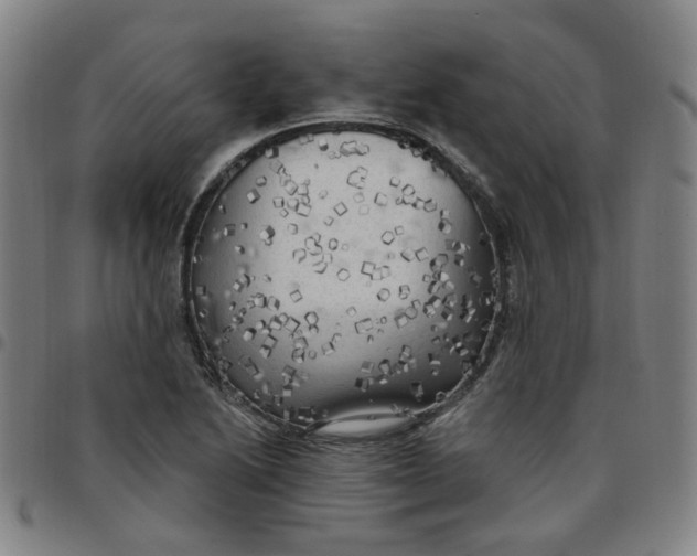 X0000097511222200803071817