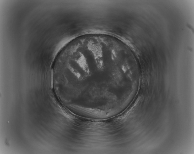 X0000097511223200803071817