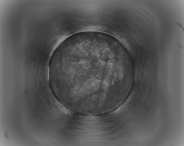 X0000097511224200803071817