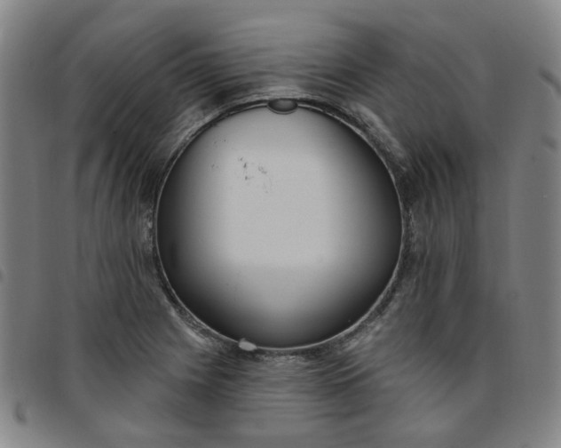 X0000097511225200803071817