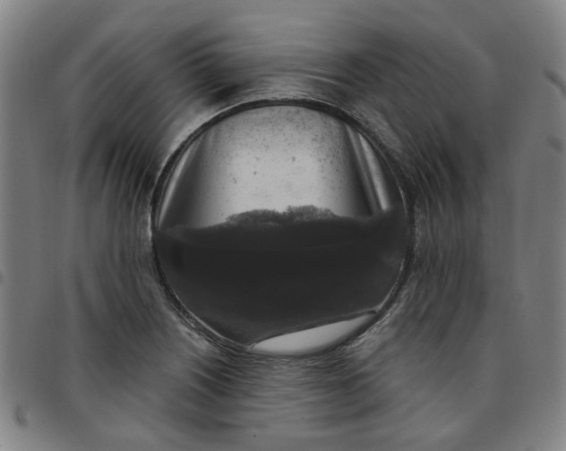 X0000097511226200803071817