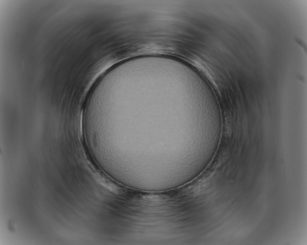 X0000097511227200803071817