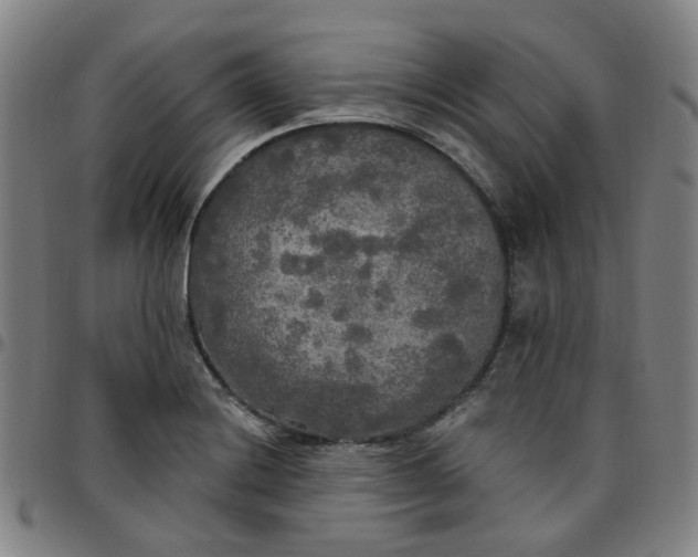 X0000097511228200803071817