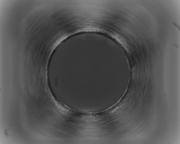 X0000097511229200803071817