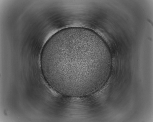 X0000097511230200803071817