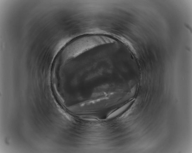 X0000097511231200803071817