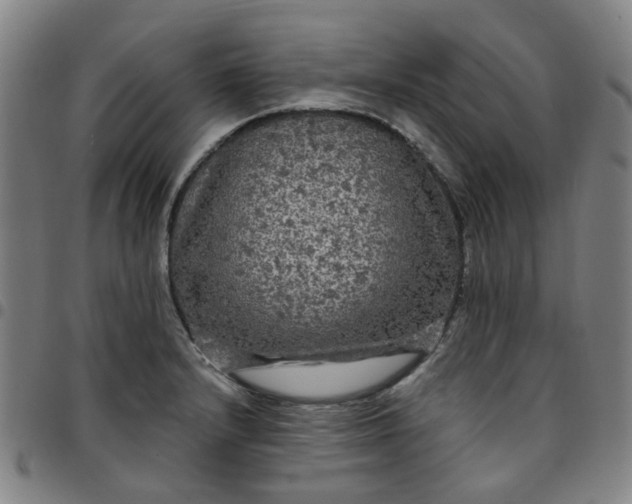 X0000097511232200803071817