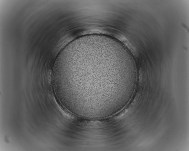 X0000097511233200803071817