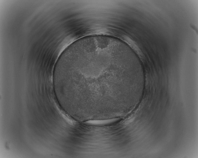 X0000097511234200803071817