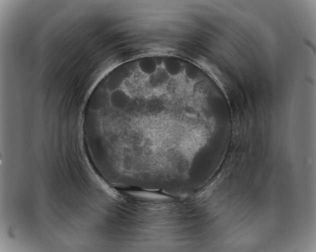 X0000097511235200803071817