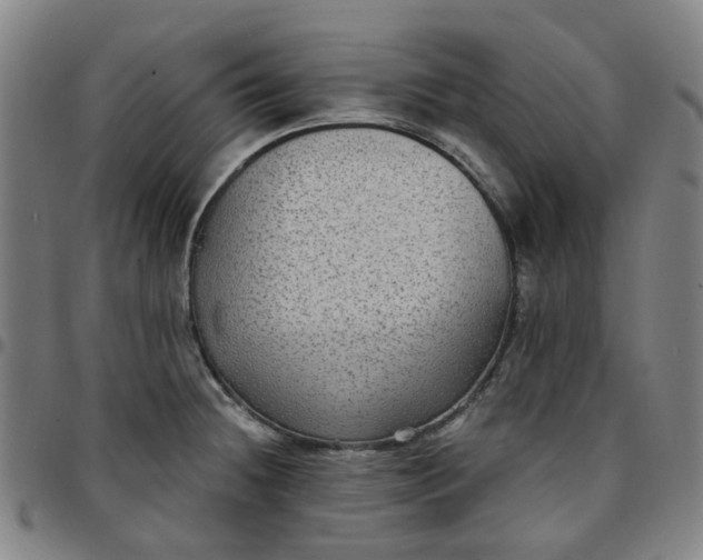 X0000097511236200803071817