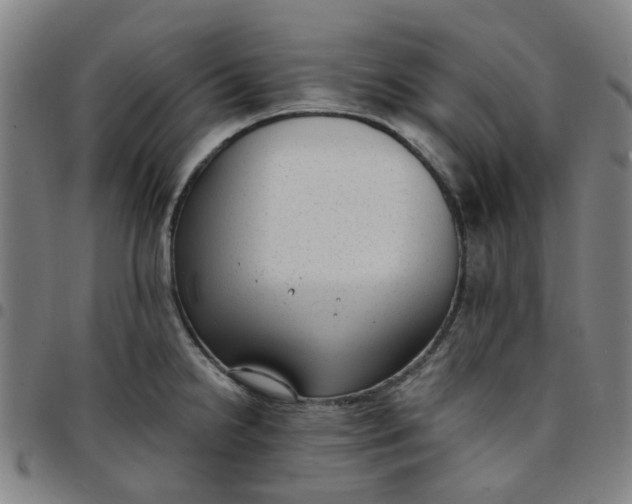 X0000097511238200803071817