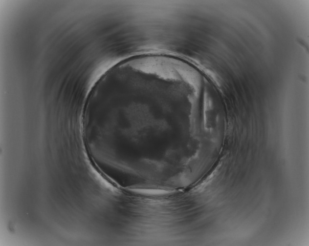 X0000097511239200803071817