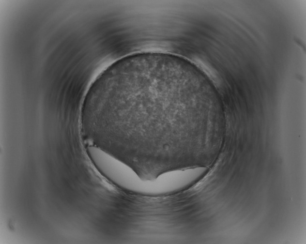 X0000097511240200803071817