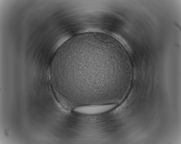 X0000097511241200803071817