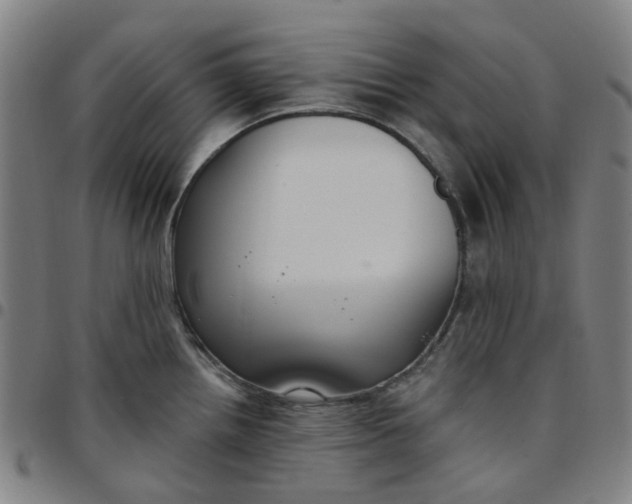 X0000097511242200803071817