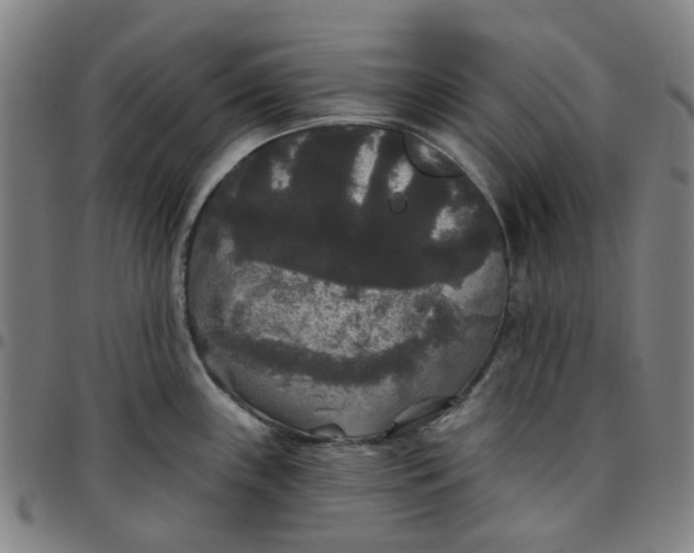 X0000097511243200803071817