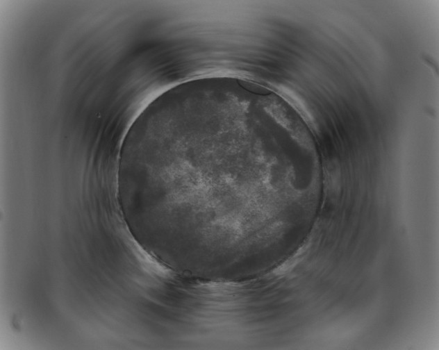 X0000097511244200803071817