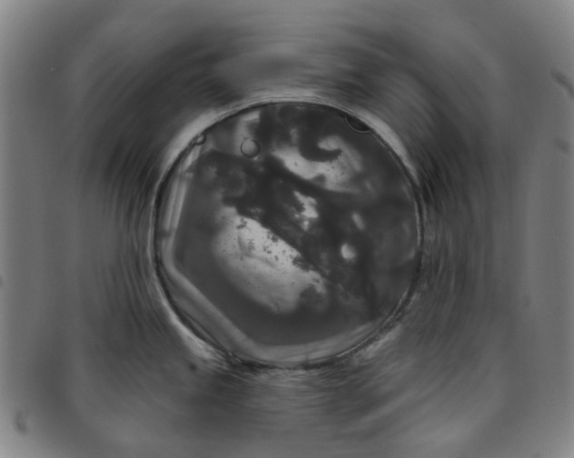 X0000097511245200803071817