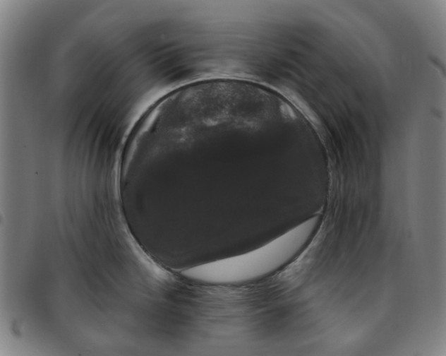 X0000097511246200803071817