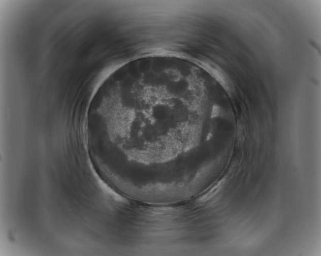 X0000097511247200803071817