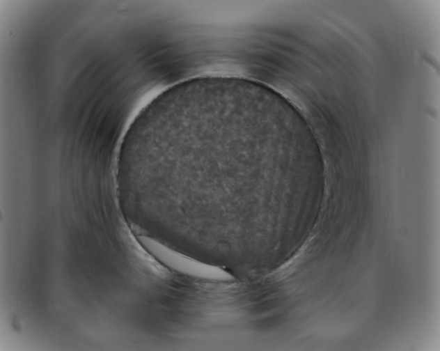 X0000097511248200803071817