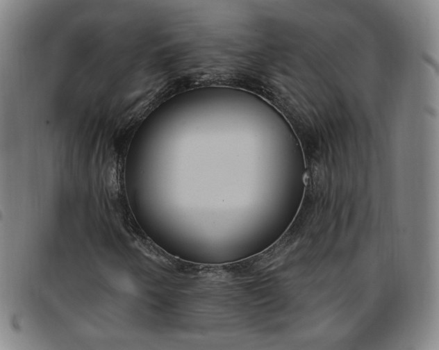 X0000097511250200803071817