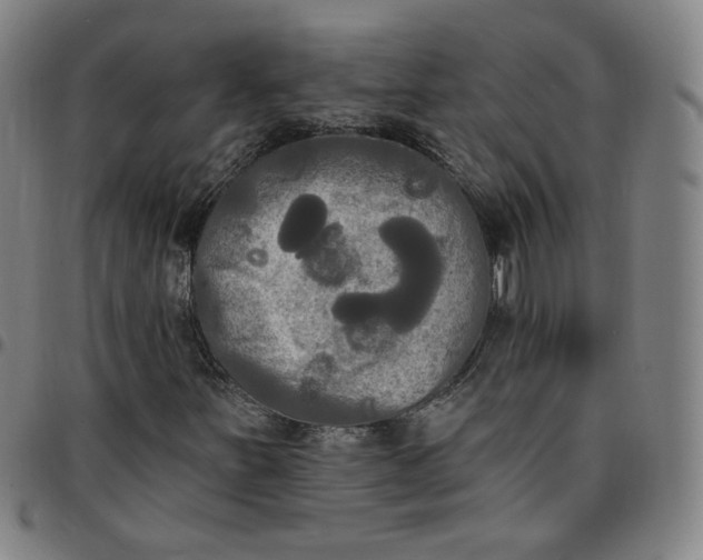 X0000097511251200803071817